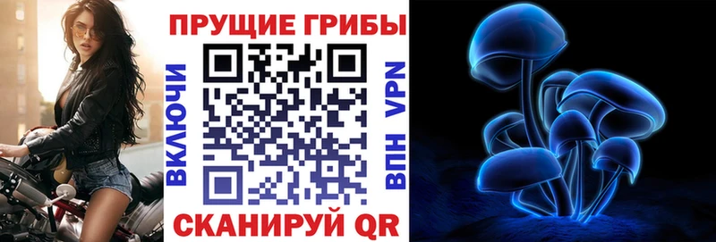 Псилоцибиновые грибы мицелий  даркнет сайт  Абдулино 